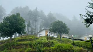 The Deodar Stays - Kanatal - 9
