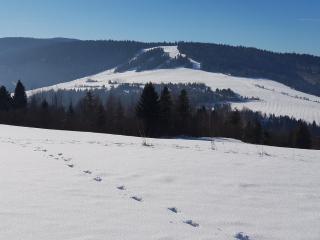 Drevenica Vitanová - 1