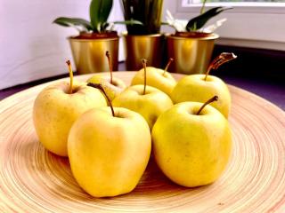 Petit 1 Bed room Condo Warszawa Center - Varsavia - 1