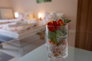 Traumferienwohnung an der Mosel - Gabi Schöneberg - Traben-Trarbach - 4