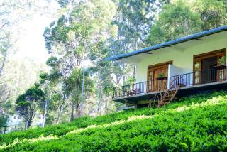 Green Wood Hotel - Ella - 0