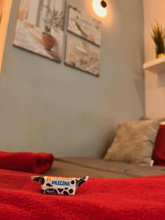Special 1 Bed room Condo Warszawa Center - Varsavia - 5