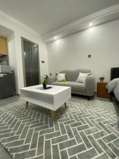 Anneys Nook - Cozy Studio in Kileleshwa with City View - Nairobi - 6