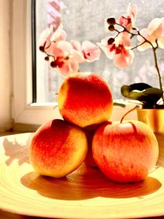 Special 1 Bed room Condo Warszawa Center - 7