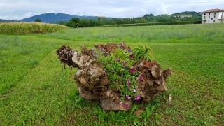 Country House Vineyard Retreat - Cividale del Friuli - 7