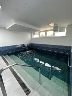 Vila Trandafirul si Liliacul - 6