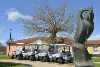Best Western Golf d'Albon - Albon - 6