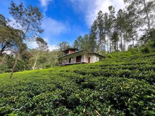 Green Wood Hotel - 0