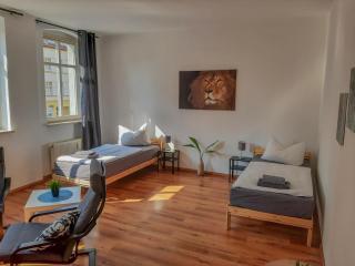 Ferienwohnungen fußläufig zur Stadt, Smart-TV, WLAN & Platz für Paare & Gruppen - Magdeburgo - 0