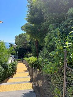Petite Provence aux Mandarines - Opatija (Abbazia) - 8