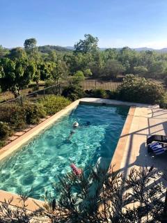 Birds Heaven Mareeba - Mareeba - 9