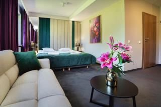 Hotel Boginia - - 4