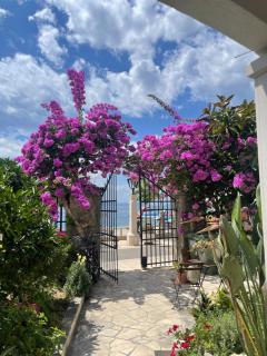 Beach APARTMENT - Podgora - 0