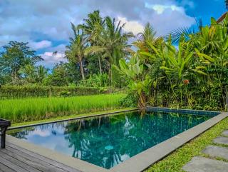 Dukuh Ubud Villa #2 Ricefield View - Payangan - 9