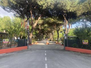 Camping Dal Pino - Marina di Massa - 5