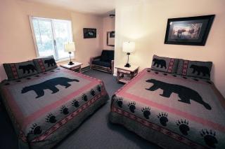 Fawn Valley Inn- 276 condo - 1