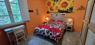 B&B Candalla - Camaiore - 4