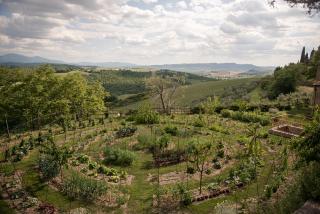 Agriturismo Borgo d'Asso - San Giovanni dʼAsso - 5