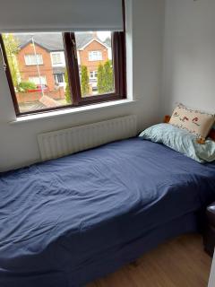 3 Bedroom Renovated Home - Dublin - 4