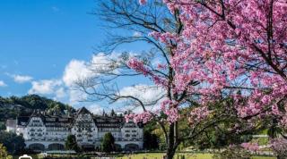 Quarto e sala Palácio Quitandinha Petrópolis - 1