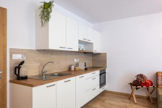 Forest Apartment with Sauna - 4