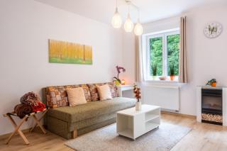 Forest Apartment with Sauna - 6