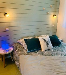 La Suite Unique - Le jardin sur les Pyrénées- vue panoramique montagne -jardin clôturé privé de 100m2-Parking-Linge de lit et serviettes compris- - Bielle - 9