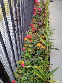 Rainforest Guesthouse - 3