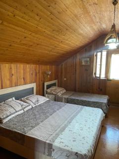 Bjni Mer Dacha - Bjni - 3