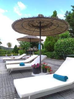 Quinta da Telheira - Vila Real - 6