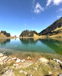 Alpine Dream Chalet with Spa close to Lake Geneva - 1