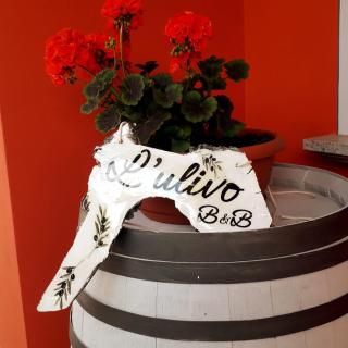 Beb ulivo - Santa Giuletta - 0