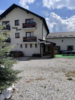 Pensiunea Poiana Dornei - 8