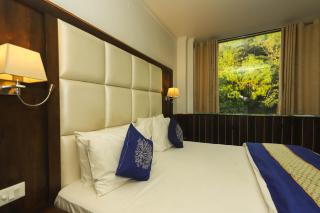 Hotel Pong View - Dharamshala - 2