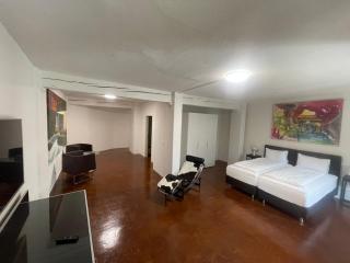 Hotel Swiss Bellevue Aathal - Seegräben - 7