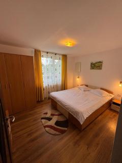Casa Mariei - Vama Buzăului - 5