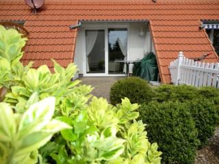 Zinnowitz, Ahornweg 4b - Zinnowitz - 9
