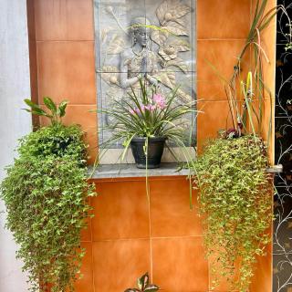 Suzzie Retreat - Pondicherry - 4