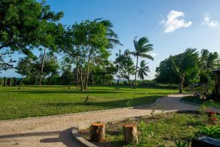 Signature Collections by Eight Continents - 2