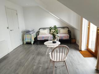 Belfast City Centre, Brilliant Light Apartment - Belfast - 9