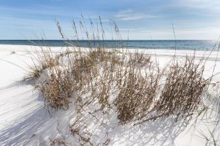 Cozy Studio Beachfront Condo - Romantic Getaway! - Fort Walton Beach - 7