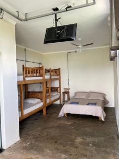 Suite Lobo Guará - 1