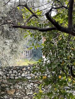 Merian's House - 9