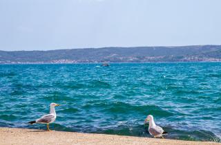 Seaside Gateway Apartment - 6