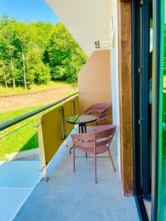 One-bedroom Apartment in Crystal Residence Bakuriani - Bakuriani - 4