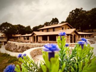 La Quinta Luxury Palace - 0