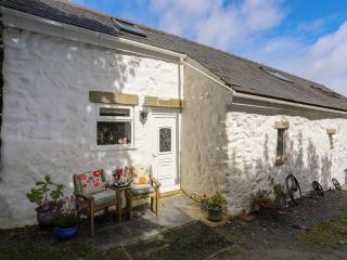 Hen Gilfach - Llanrhwydrys - 5