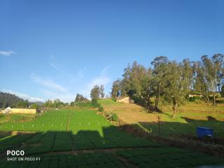 Mithra Cottages Ooty Individual Villa Breakfast Complementary, Campfire Available, BBQ Available, Home made Food Available - Ooty - 5