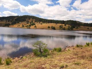 Apartman Tić Zlatibor - Zlatibor - 5
