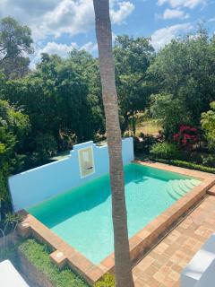 Luxury Villas in Sotogrande Costa Andalucia - 1